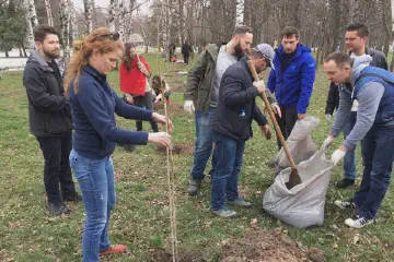 Засаждане на дръвчета в София 9