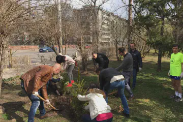 Засаждане на дръвчета в София 1